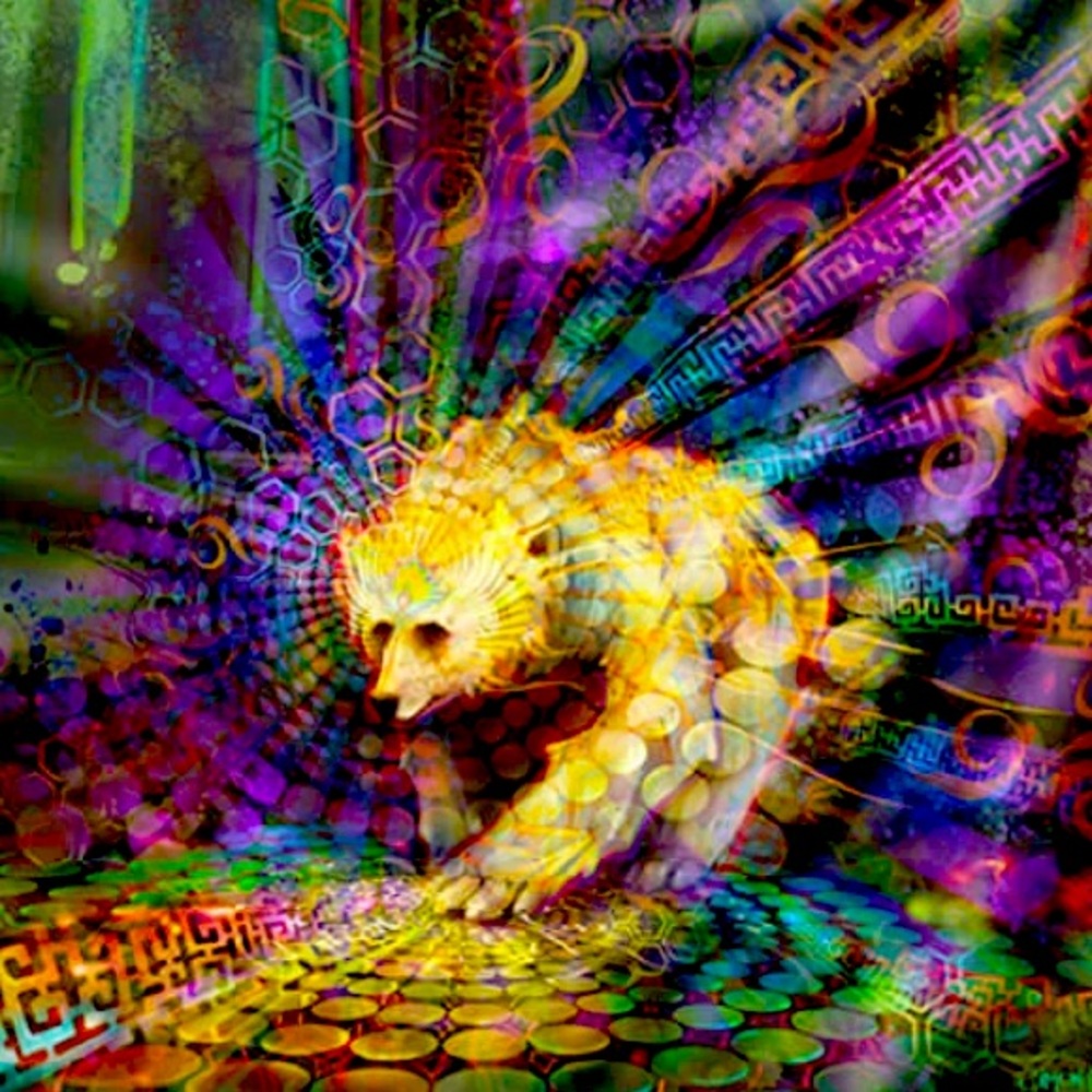 EDC! Third Eye Tapestries Spirit Bear